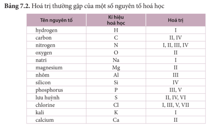 Câu hỏi trang 44 SGK TN&XH 7 KNTT tập 1