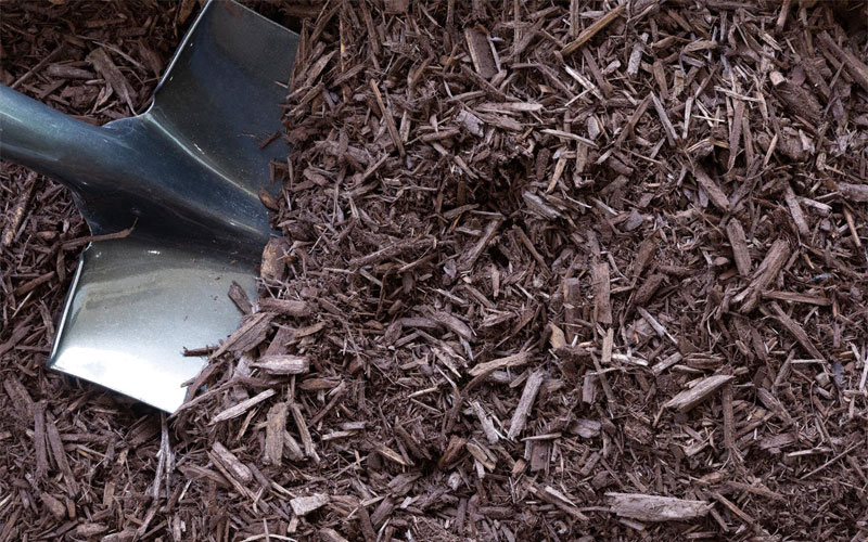 Add mulch onto the top soil