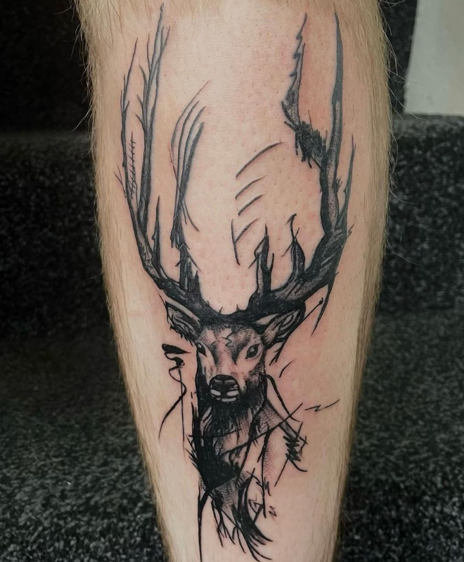 Sketched Stag 