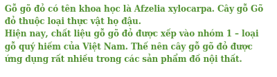 Vì sao nên mua bàn ghế gỗ Gõ đỏ cho phòng khách?