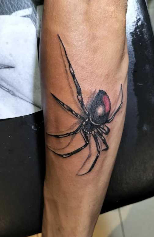 Banded Spider Tattoo