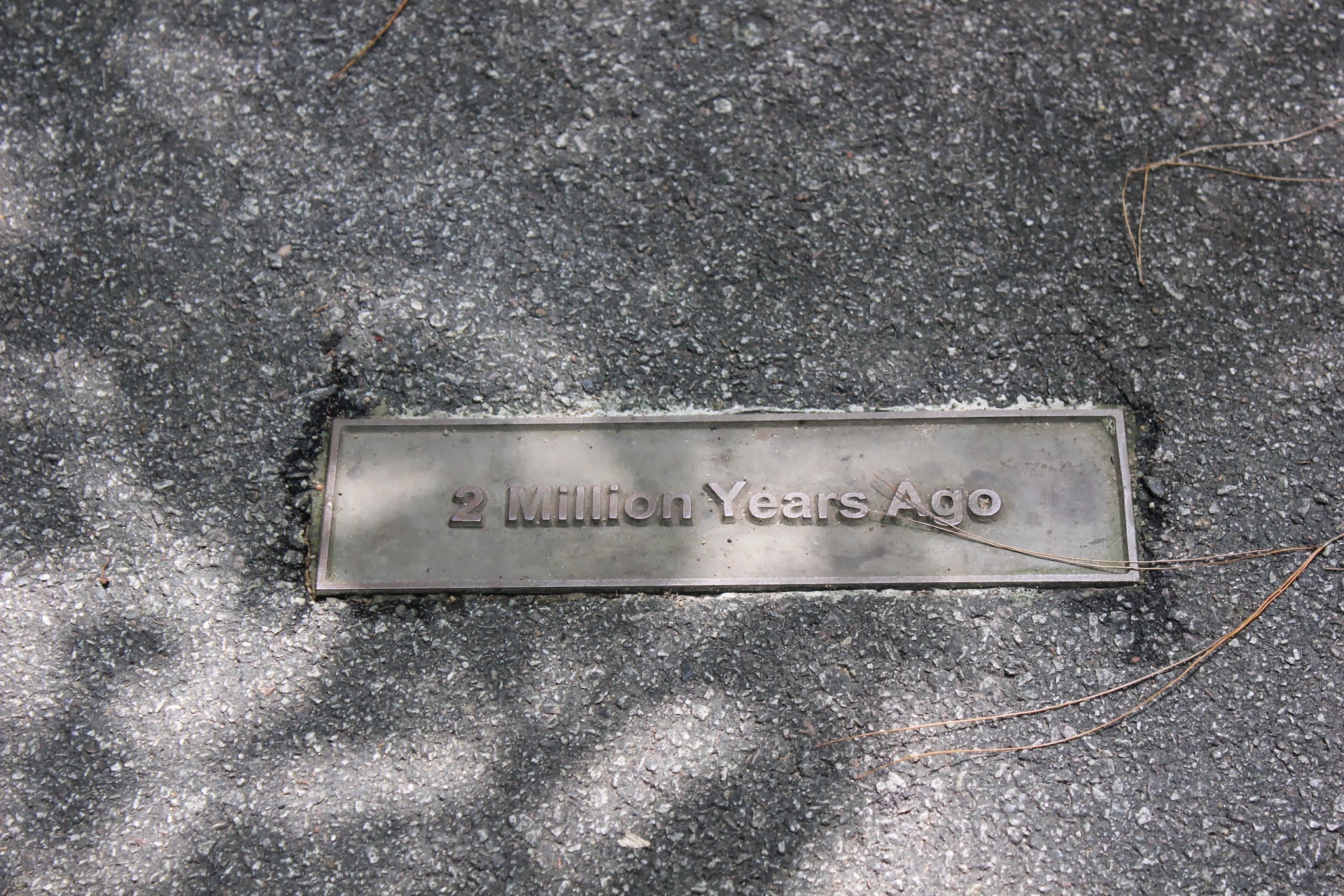 Hành trình Singapore bụi: Tung tăng  vịnh Marina và 2 khu vườn