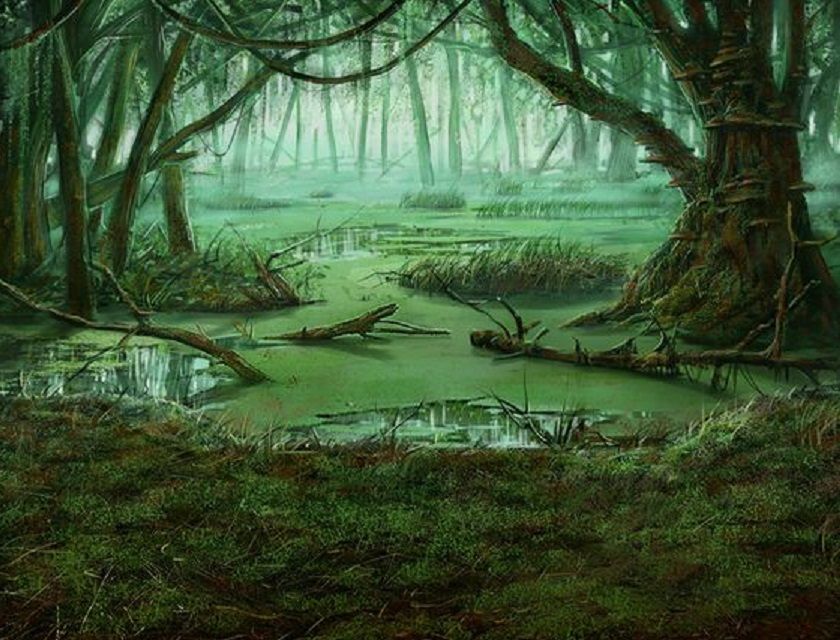 Image result for fantasy swamp