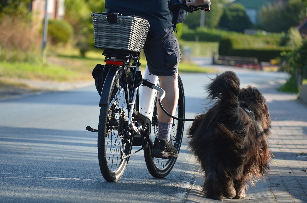 un homme qui fait du vélo avec son chien grâce à une laisse pour vélo