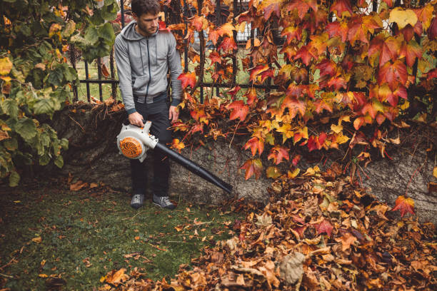 Types of Leaf Blowers That Can Blow Wet Leaves