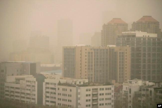 沙尘暴来袭北京。 (2023年3月10日)
