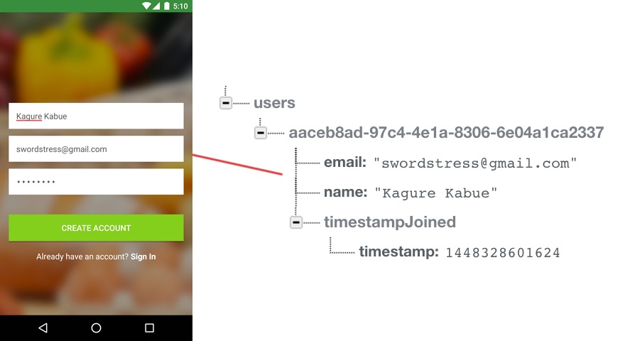 Data Schema