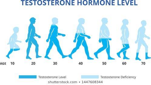 Image result for testosterone