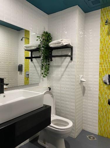 A picture containing bathroom, indoor, wall, sink

Description automatically generated