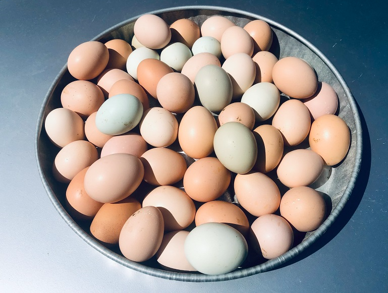 A bowl of eggs

Description automatically generated with medium confidence