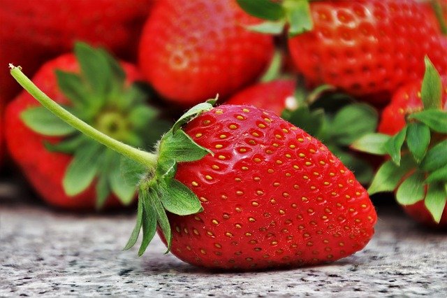 strawberry scientific name