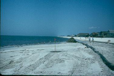 Beach creation Gulfshores 92
