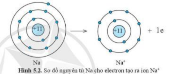 Câu hỏi trang 34 SGK TN&XH 7 CD tập 1