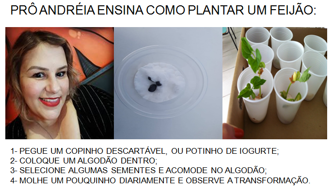 Sem título.png