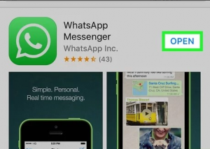 verify numbers on WhatsApp