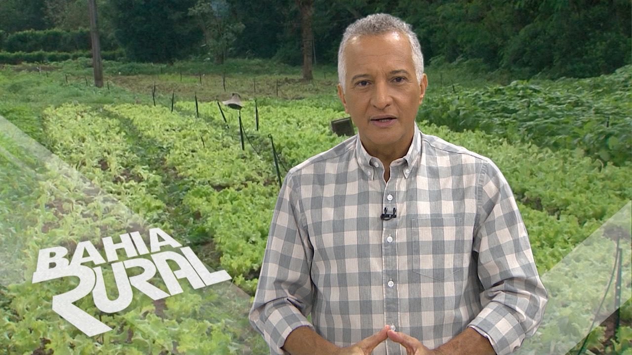 Resultado de imagem para valber carvalho bahia rural
