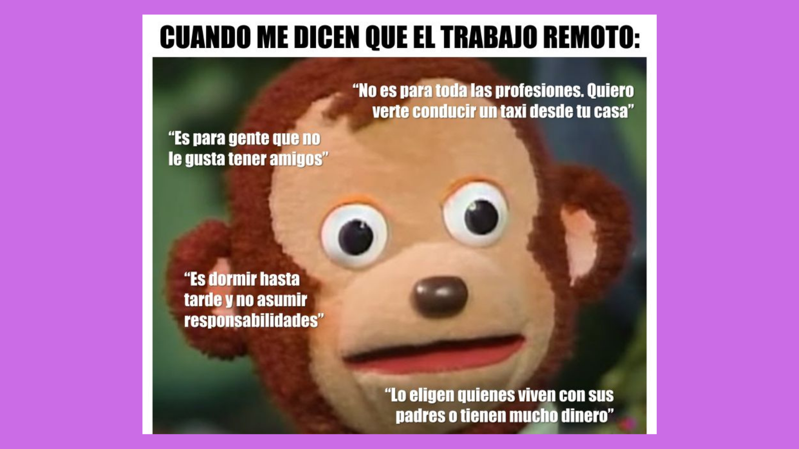 Meme de trabajo remoto del mono preguntandose cosas