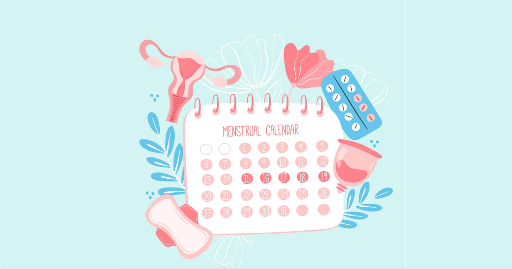 Menstrual Cycle Details