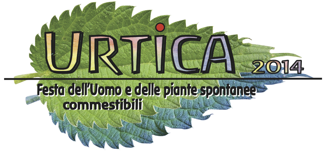 Urtica05.jpg