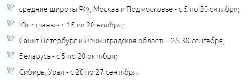 Сроки посадки винограда в зависимости от региона