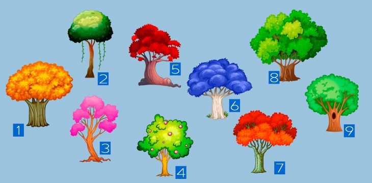 9 árvores