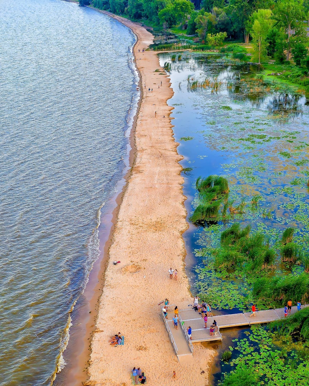 Bay City State Park - Photo Courtesy @Izzca 