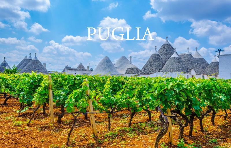 Puglia | Vùng Rượu Vang Của Ý Nổi Tiếng Nhất Nhì Việt Nam