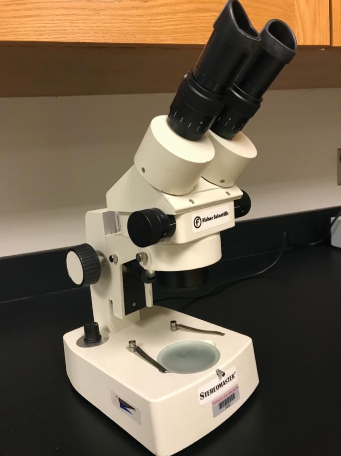 A microscope on a table

Description automatically generated