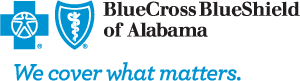 How Blue Cross and Blue Shield of Alabama is helping Birmingham nonprofits shield residents from loss