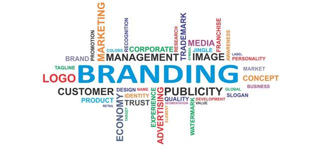 Branding 101: A Newbie's Guide to Branding