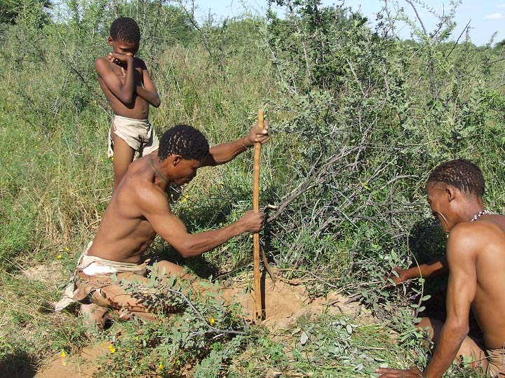 Bushmen_dig.jpg