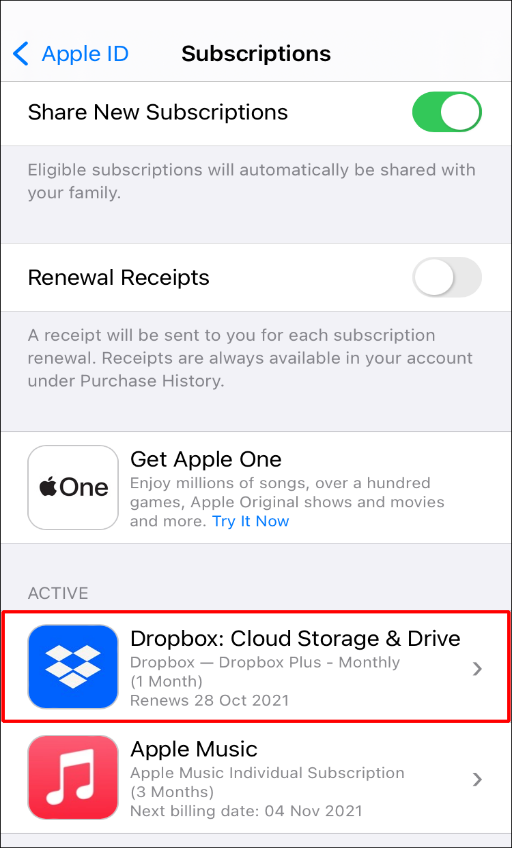 Find Dropbox app in Apple settings