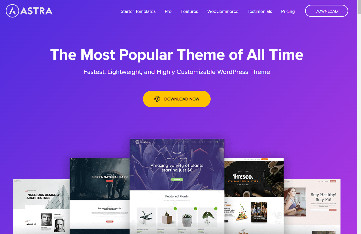 best free WordPress theme