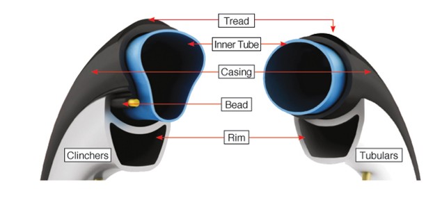 clincher and tubular.jpg