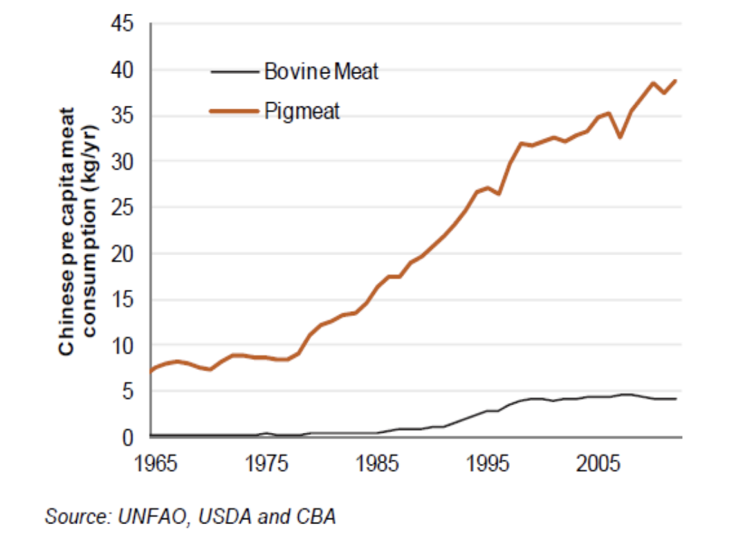graph of the rise in pigmenat per capita consumption in China