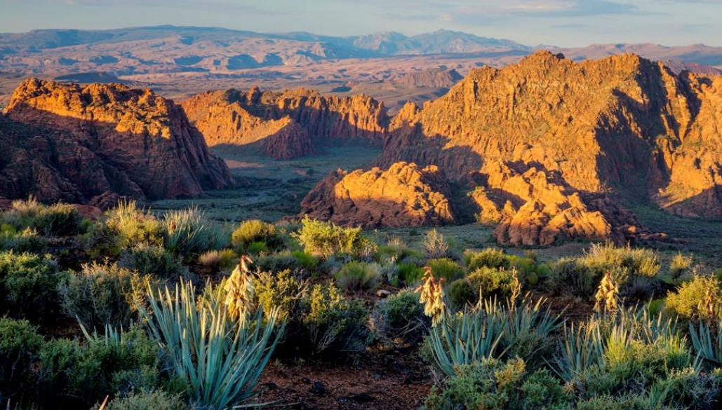 A photograph of the Red Cliffs National Conservation Area, from the complaint.