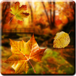 Autumn Live Wallpaper apk Download