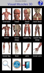 Visual Muscles 3D apk