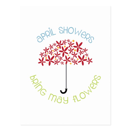April Showers brings may flowers Postcard