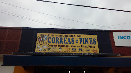 Poleas, Pines y Correas