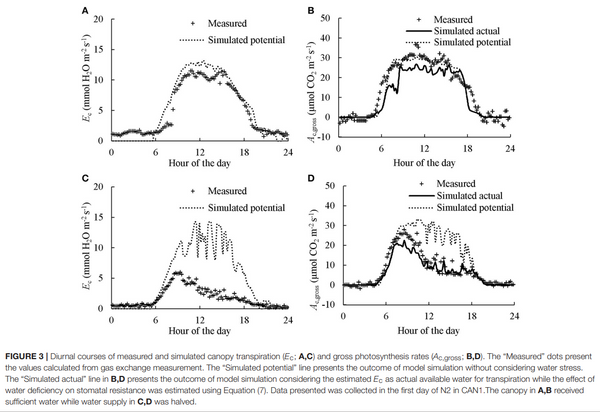 VPD and Transpiration in Cannabis Sativa Hemp Plants