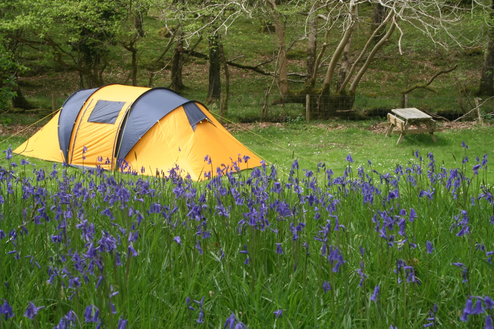 Dinas_camping_-_geograph.org.uk_-_1731943.jpg