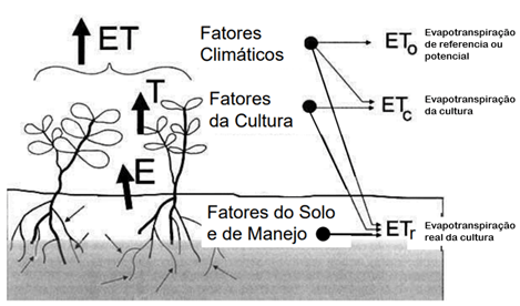 Tipos Evapotranspiração