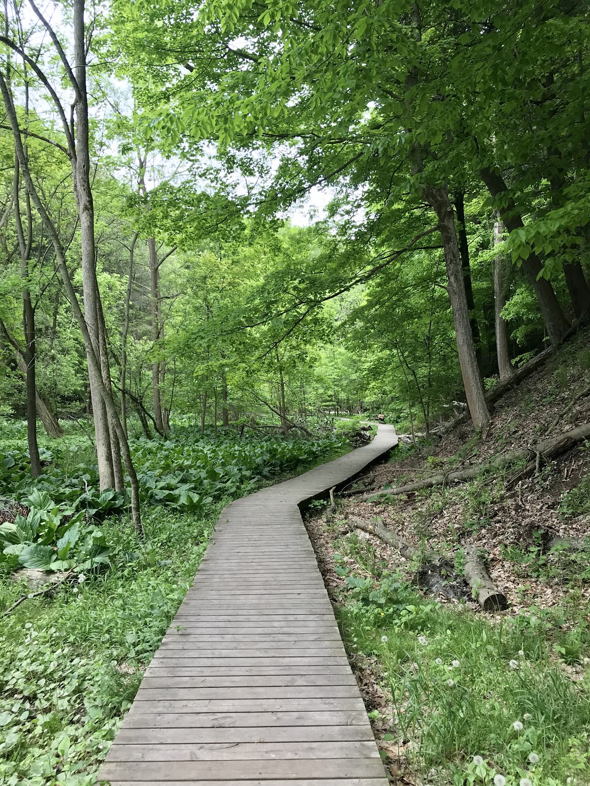 hidden hiking spots ontario