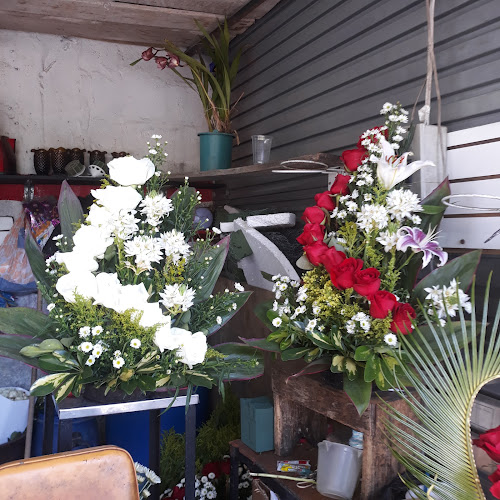 Opiniones de Nova Flor en Quito - Floristería