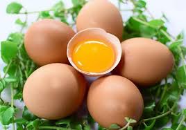 Ae9ILd41UGLu893dPyznNKNtlmbmoDplHlfty5tGPSsO2DKk8yu2pOYc3uyXNg0boVwRhO0NzyPCZ7OYpn-j092rfv7mCBg8H975K0zfi6g8w7J7YBxQU-_Ybm1qJISubYgQ8pG-