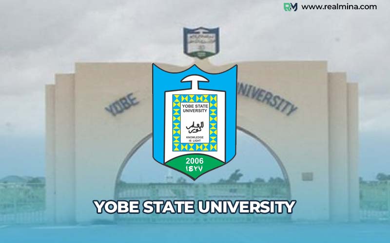 universities offering Arabic