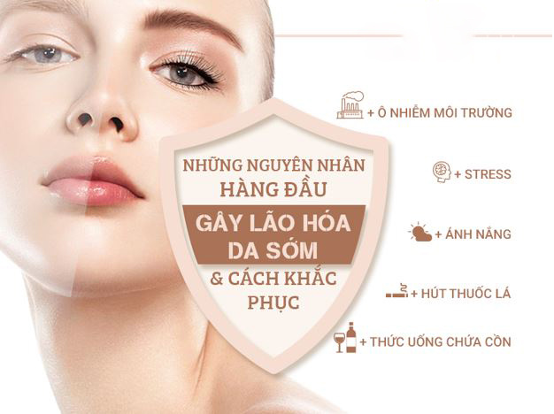 Nguyên nhân của sự lão hóa xuất hiện một phần xuất phát từ bản thân của khách hàng, với sự chủ quan, không chăm sóc tốt cho da mặt, đầu óc luôn trong trạng thái căng thẳng, stress,..