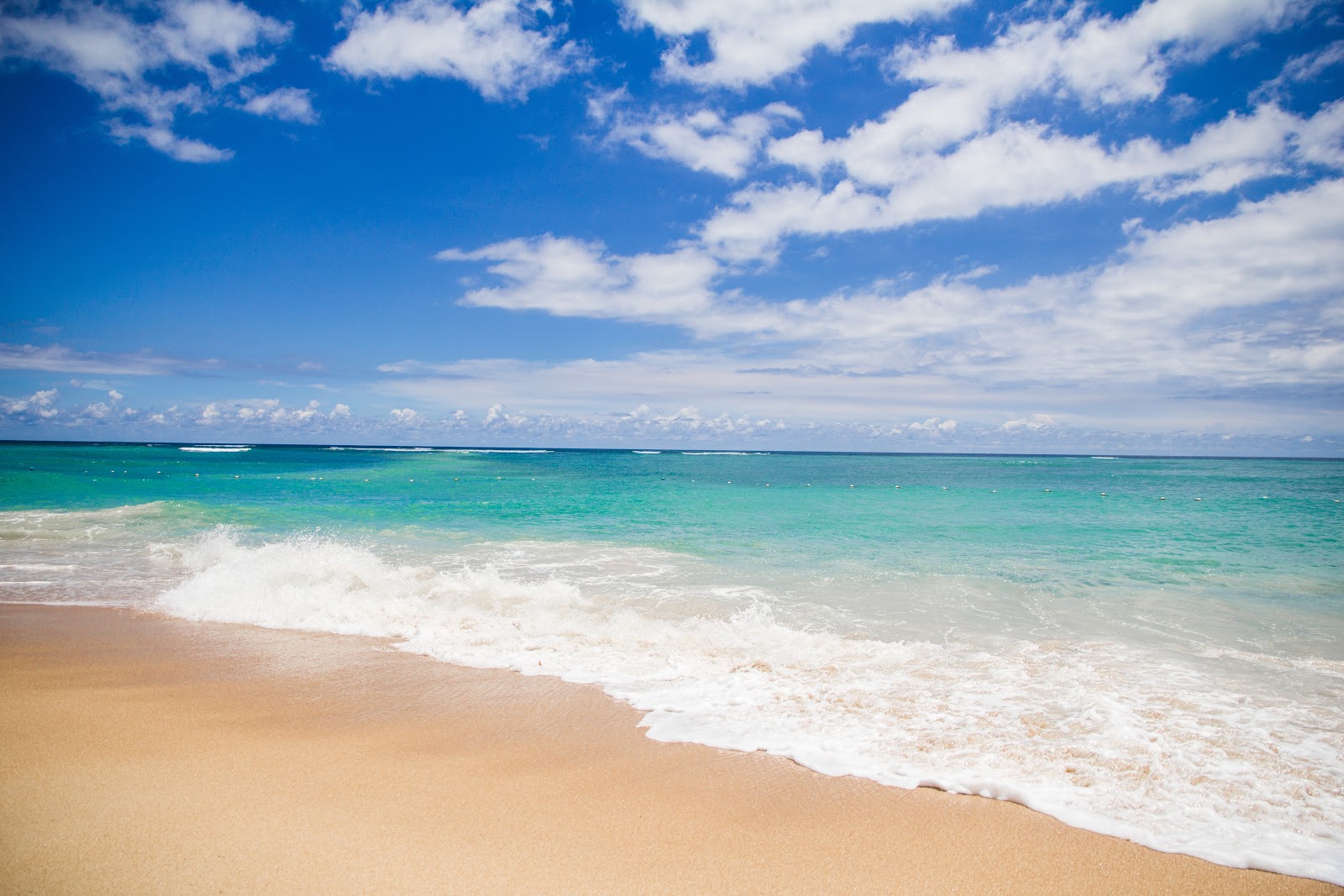 https://images.pexels.com/photos/459556/pexels-photo-459556.jpeg?cs=srgb&dl=background-beach-beautiful-459556.jpg&fm=jpg