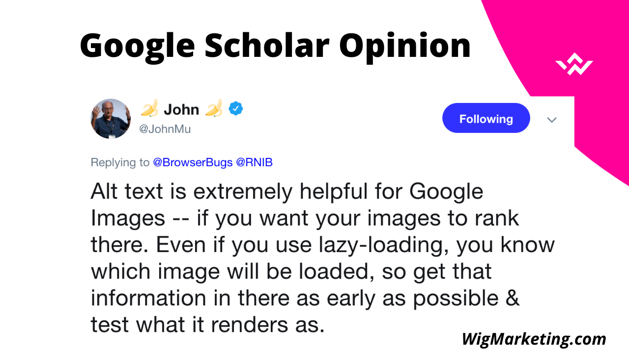 google scholar opinion